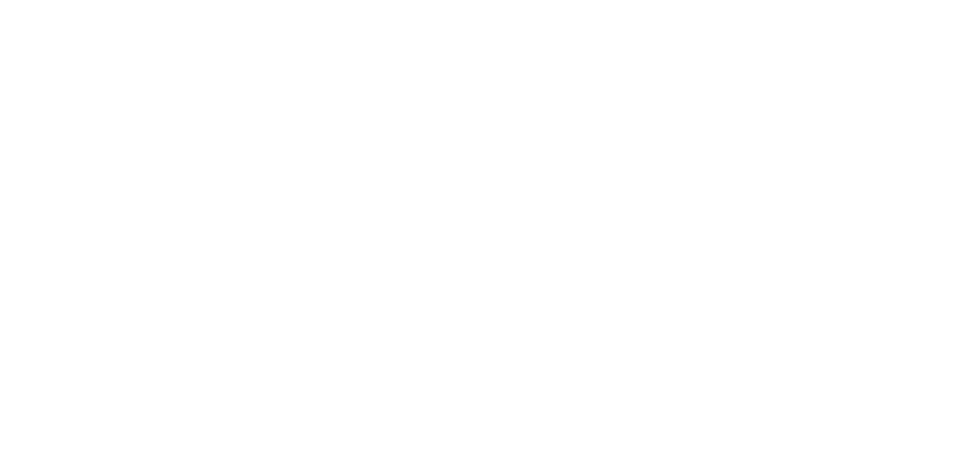 Bernhard und Ley Projektentwicklung Logo weiss